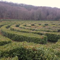 Labyrinthe Géant