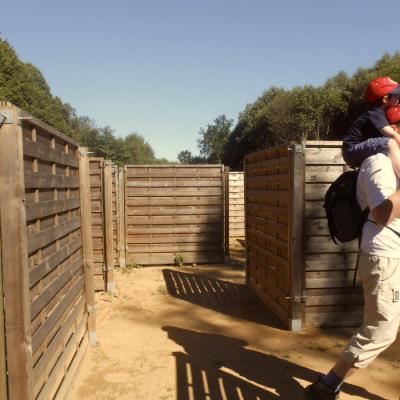 Labyrinthe en Panneau de Bois